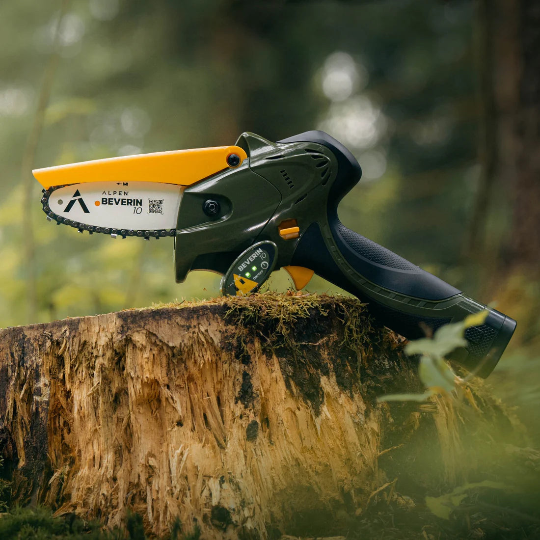 Mini tronçonneuse électrique ALPEN + 1 chaîne de rechange supplémentaire avec 2 batteries 14.4V (2x 2.6Ah) et powerpack