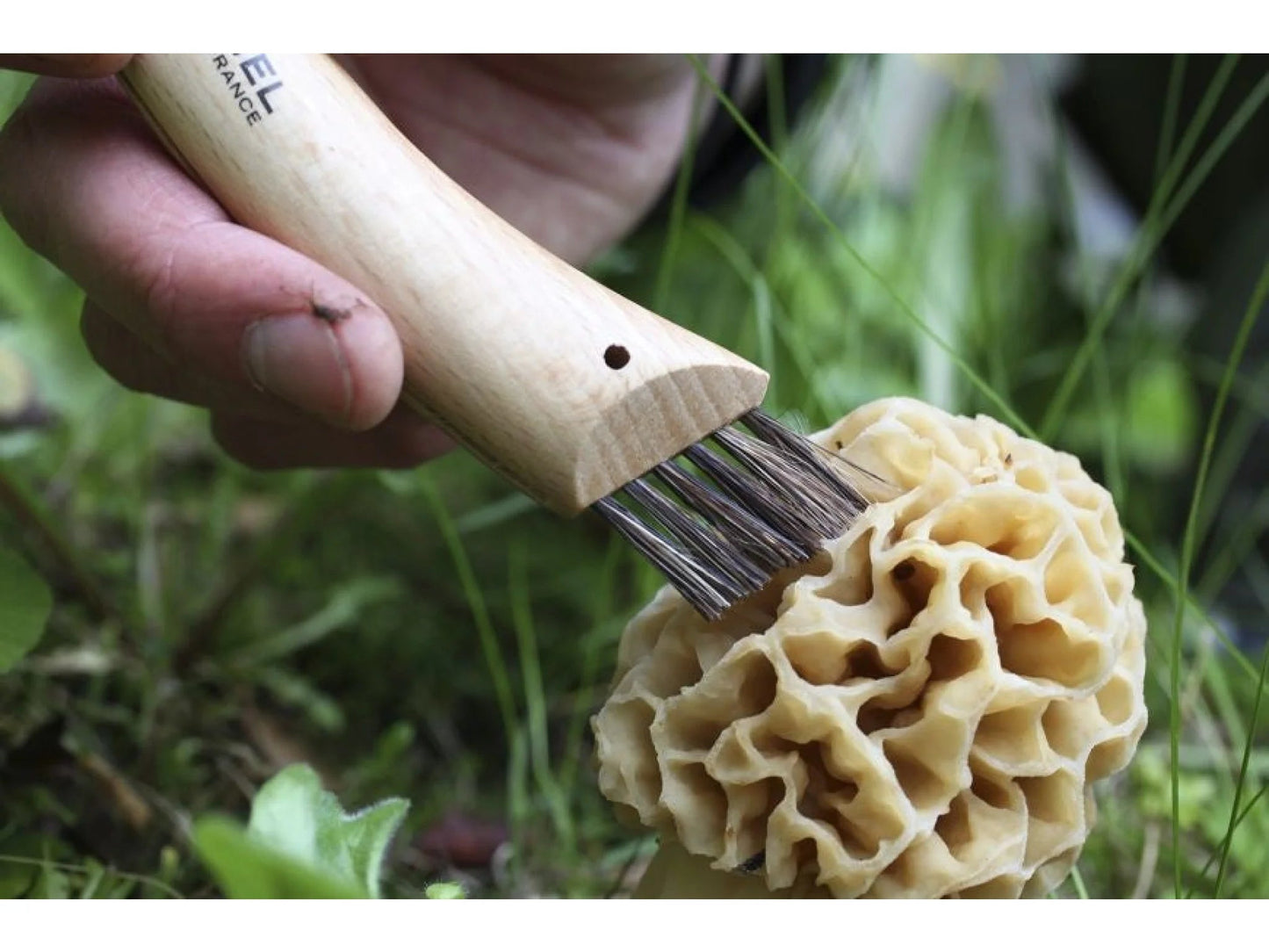 Couteau à champignon NO8 - Inox. Opinel