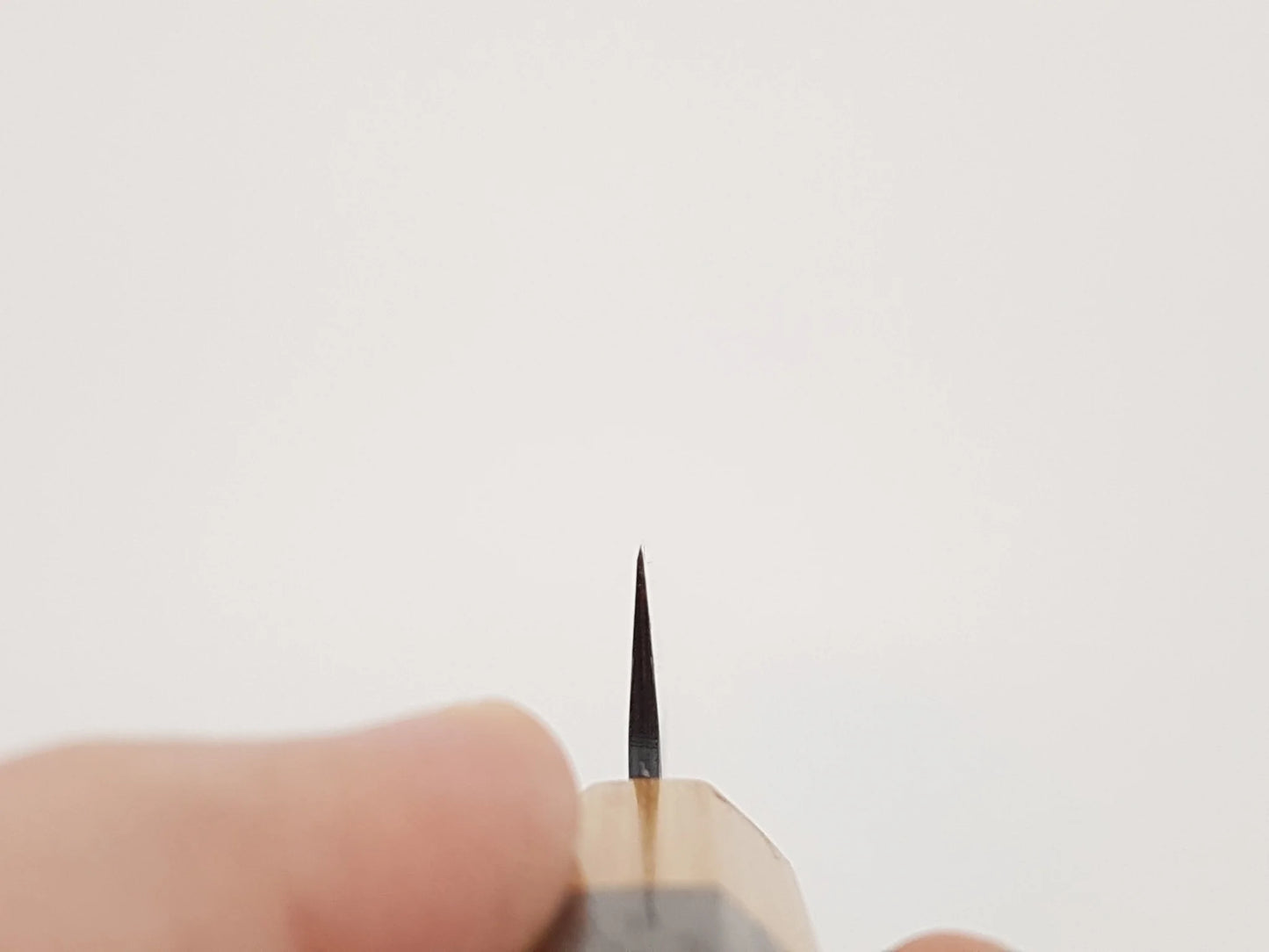 Petty 135mm - Aogami - Haruyuki Shiso
