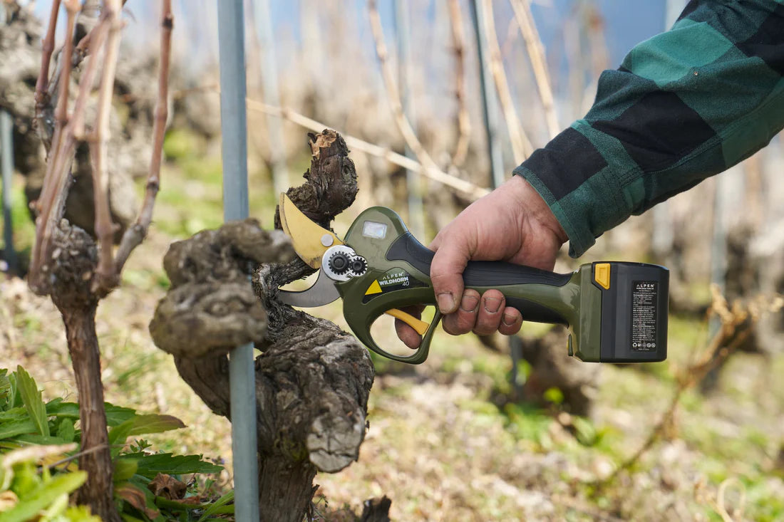 KIT SÉCATEUR ÉLECTRIQUE AVEC  2 BATTERIES ET POWERPACK WILDHORN 40 - ALPEN