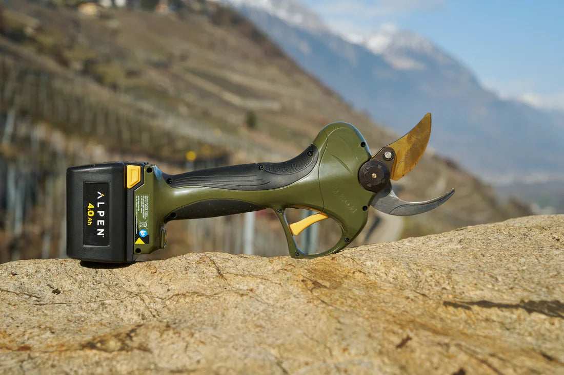 KIT SÉCATEUR ÉLECTRIQUE AVEC  2 BATTERIES ET POWERPACK WILDHORN 40 - ALPEN