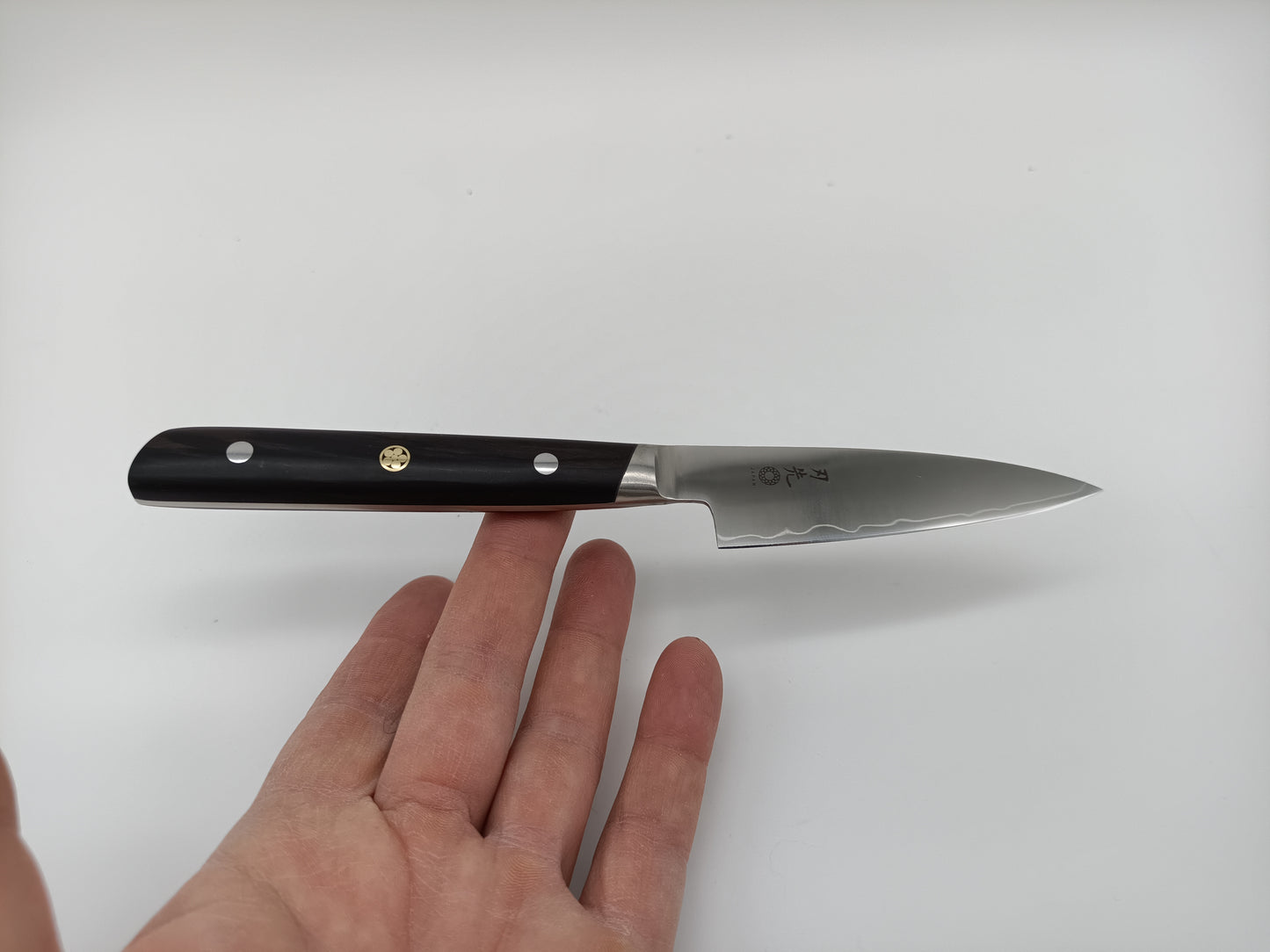 Santoku 7" - AUS10 - Blackwood - Hazaki